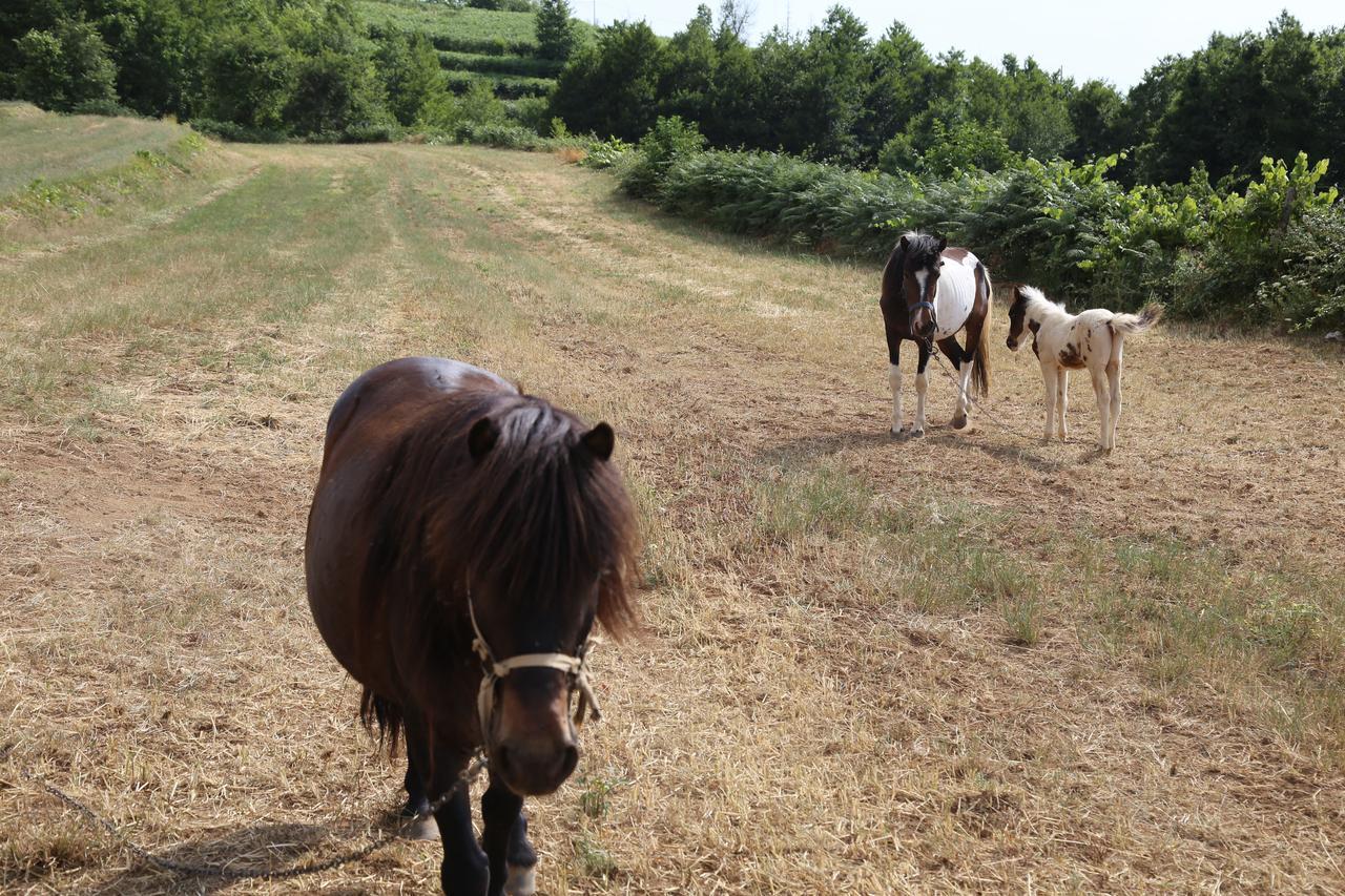 Agriturismo Pirara Sant'Angelo  Bagian luar foto